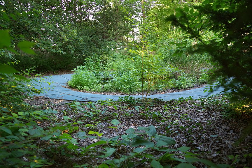 only a ring on the floor of the woods reveals a sunken pool