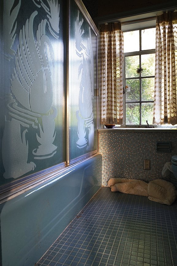 view of blue bathroom with swans etched on shower doors