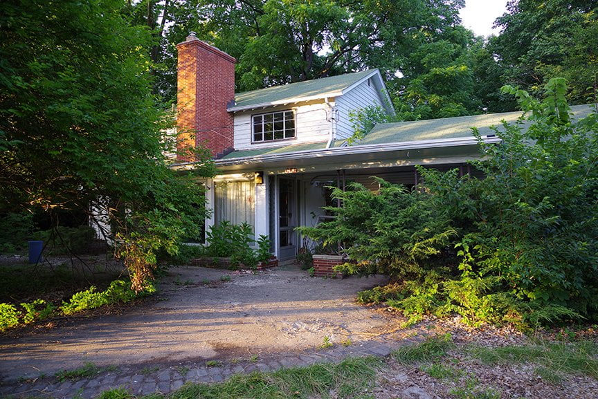 house half hidden in bushes and undergrowth