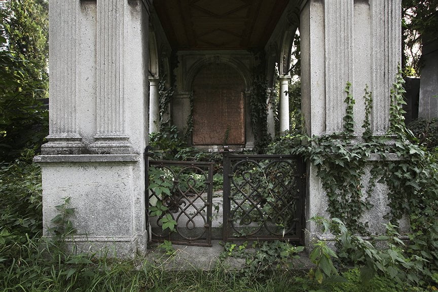 close-up of overgrown tomb with iron gate and ivy