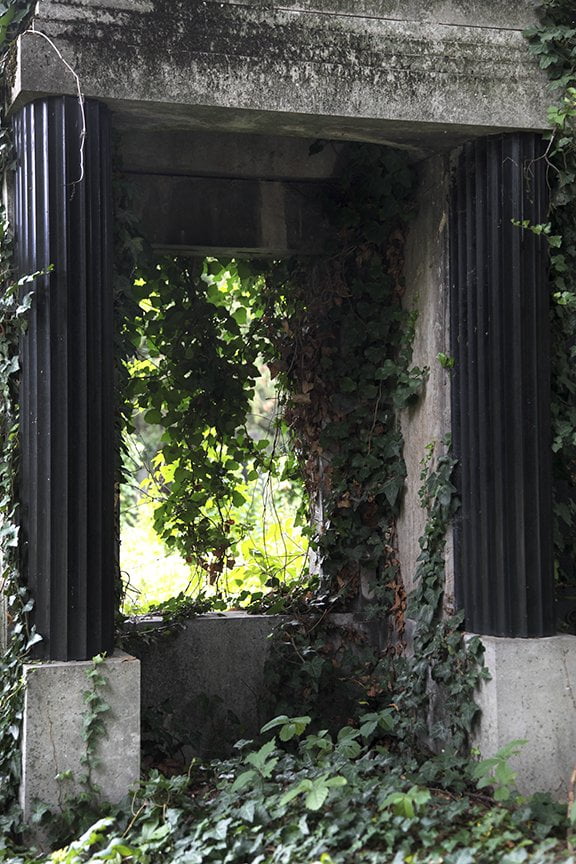 close-up detail again of ivy covered tomb with pillars