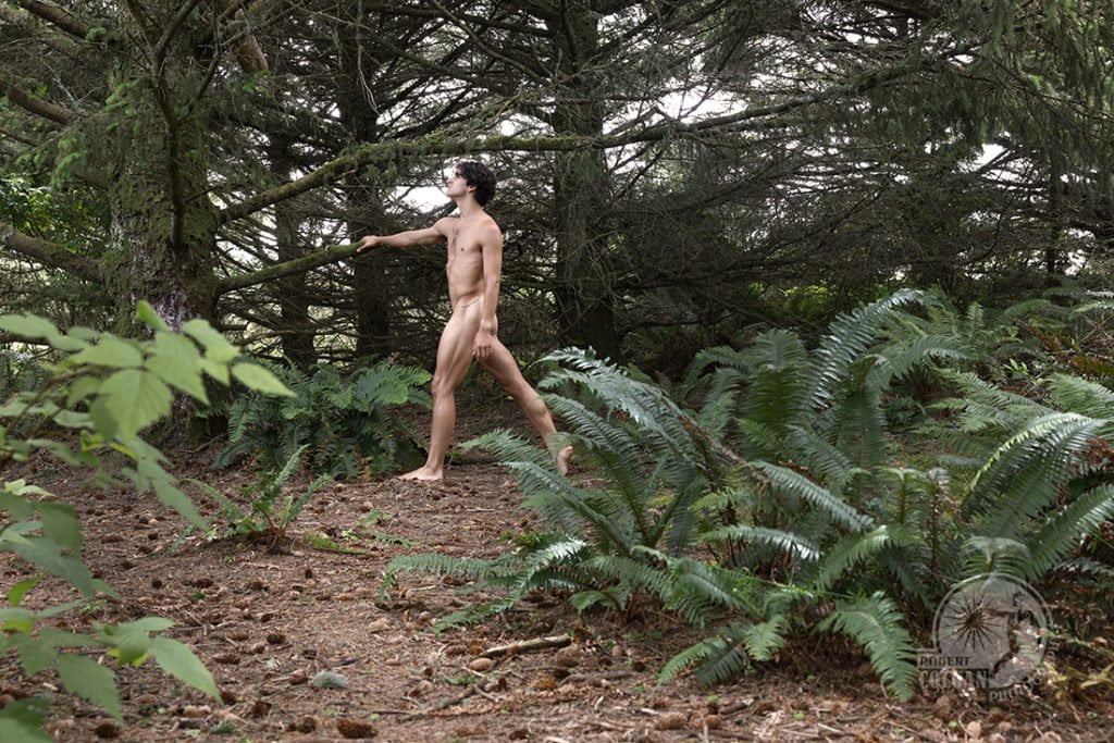 nude man amid ferns and pines