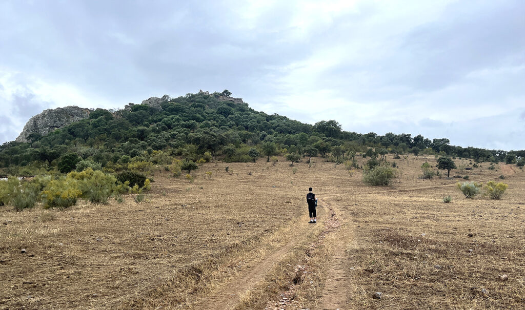 view of approach to demolished castle on hill