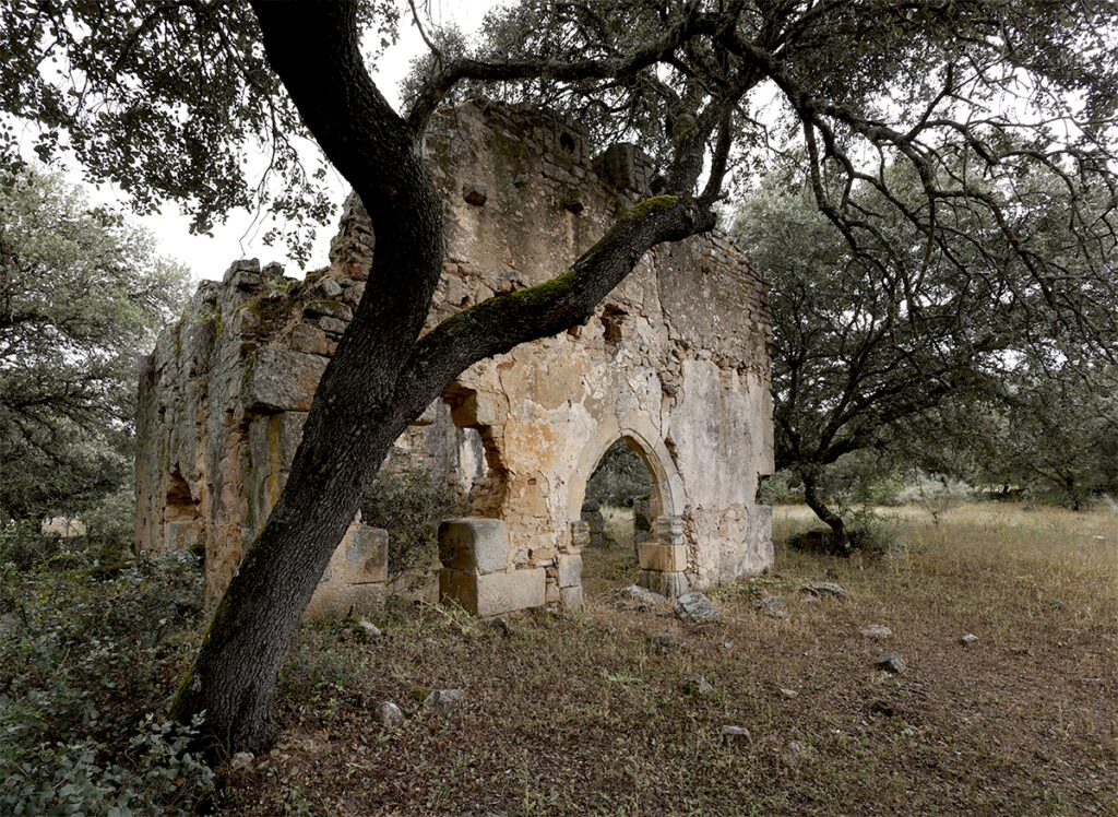 abandoned medieval chapel in the woods