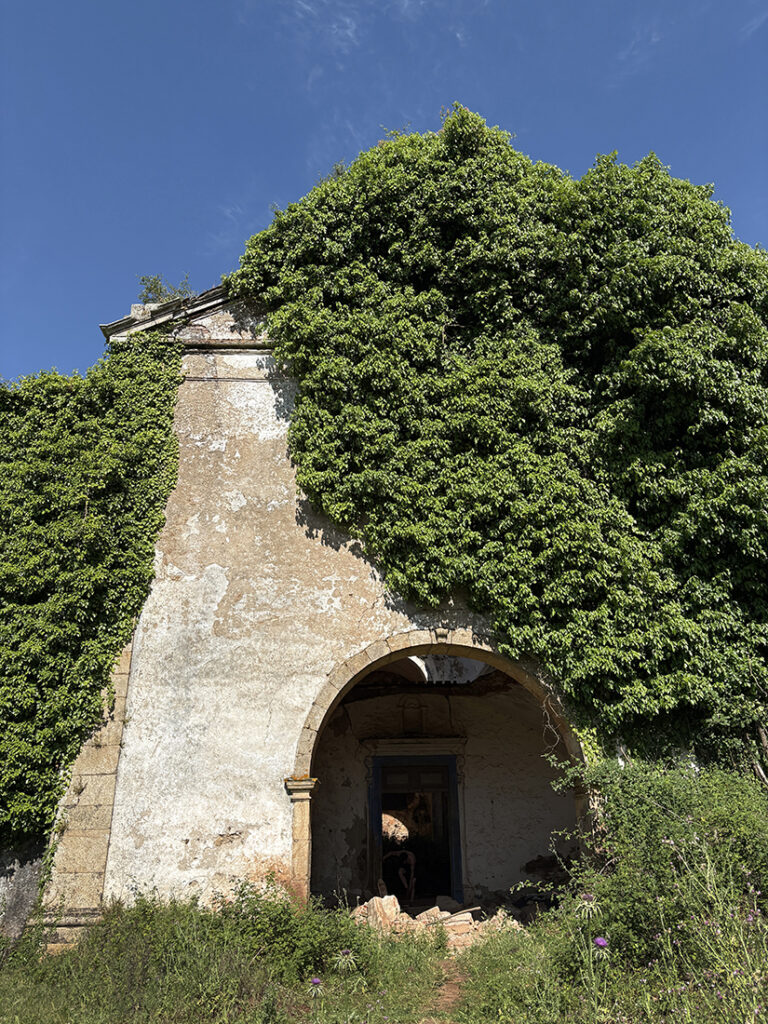 The overgrown remains of an old monastery in Portugal